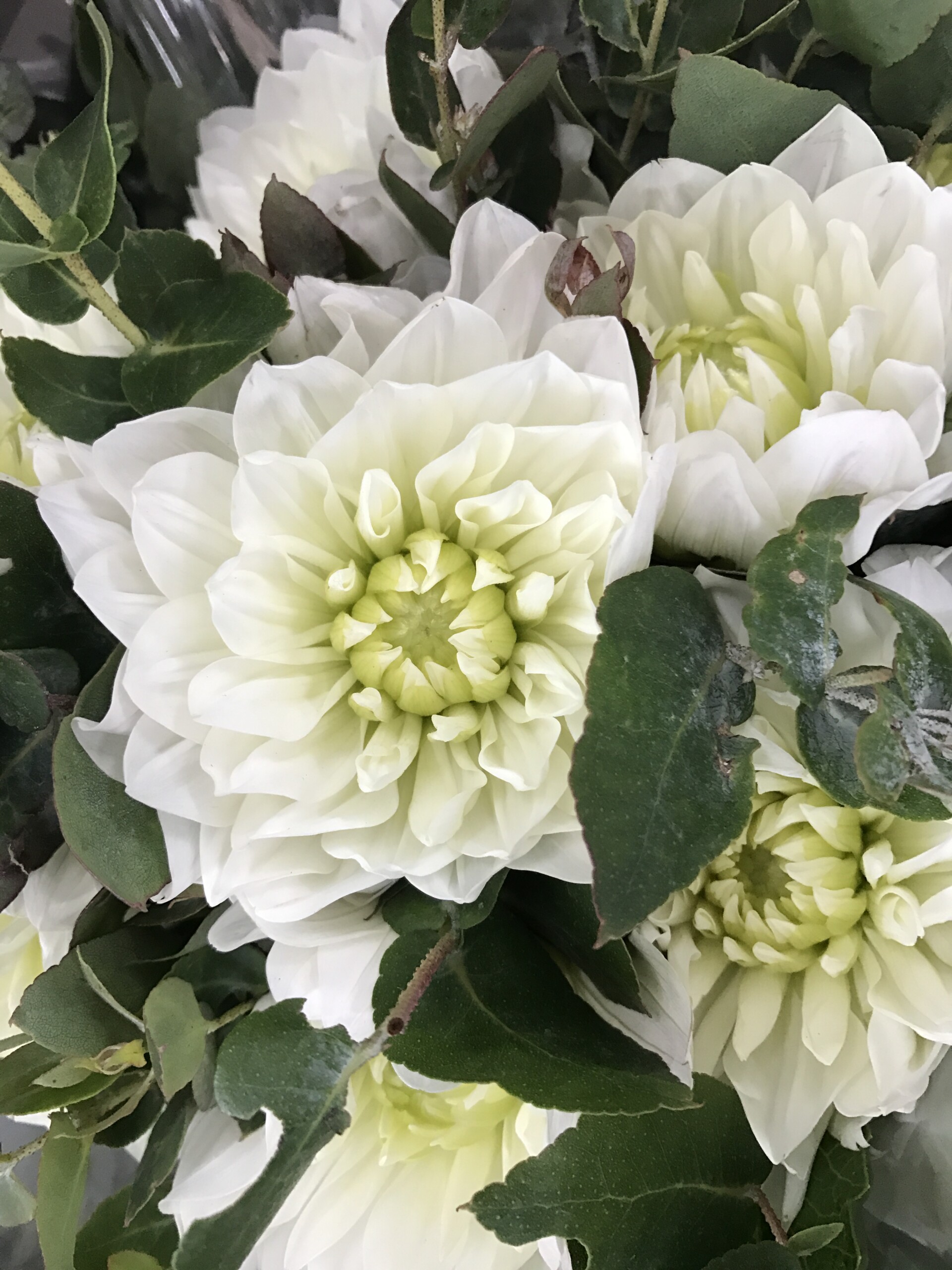Flower Bouquet