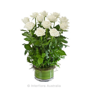 Desire (White)