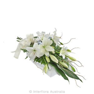 Purity